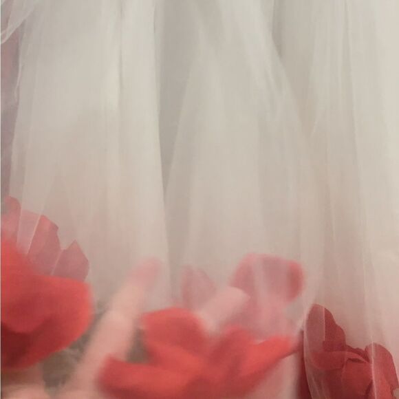 GIRL'S Spring Tulle Rose Dress 👗 - Picture 6 of 17